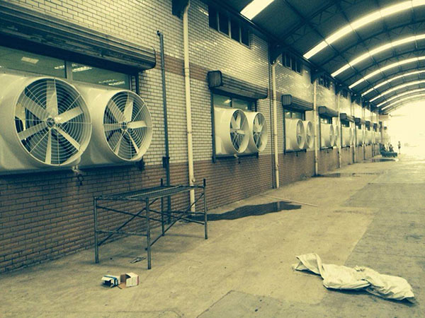 ؓ(f��)���L(f��ng)�C(j��)����